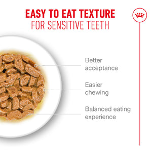 Ageing 11+ - blautfóður