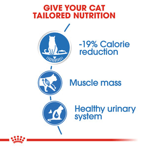 Cat Light Weight Care - blautfóður