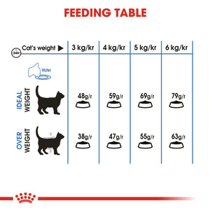 Light Weight Care Cat