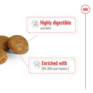 Xsmall Adult + FRÍ GJÖF