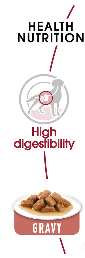 Medium Adult - blautfóður