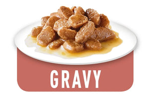 Mini Adult - blautfóður