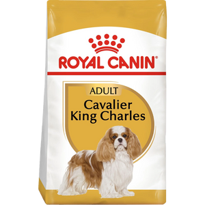 Cavalier