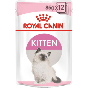 Kitten - blautfóður