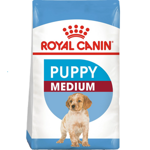 Medium Puppy
