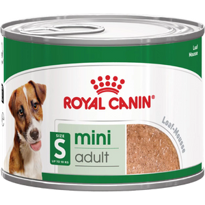 Mini Adult - blautfóður í dós