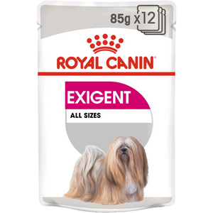 Exigent dog - blautfóður