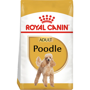 Poodle