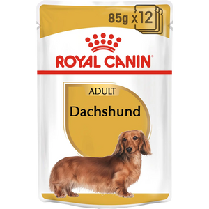 Dachshund - Blautfóður