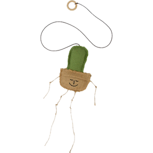 Kaktus kattaleikfang (Catnip)