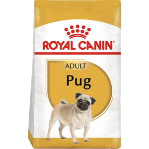 Pug Adult