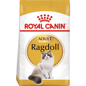 Ragdoll