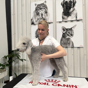 Næringarráðgjöf