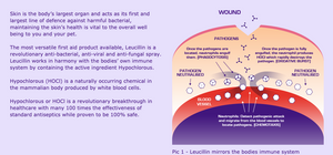 Leucillin Antiseptic skin care 60ml