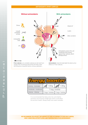 Nutritional Sup Energy orkubitar 50g