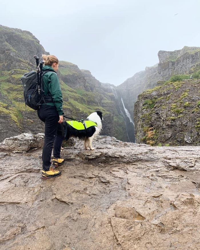 Ferðalög með dýr