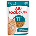 Ageing 11+ - blautfóður