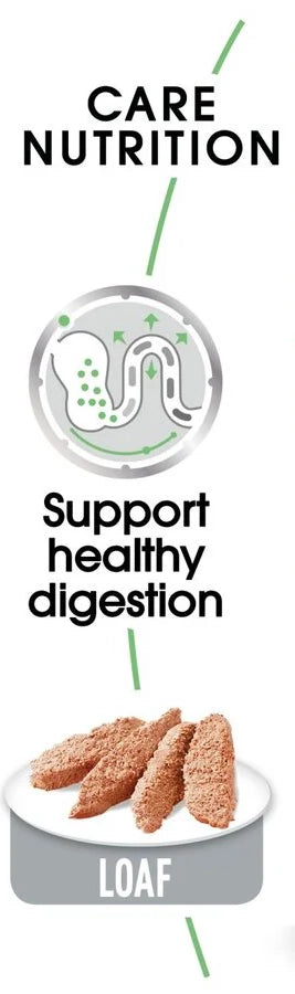 Dog Digestive care - blautfóður