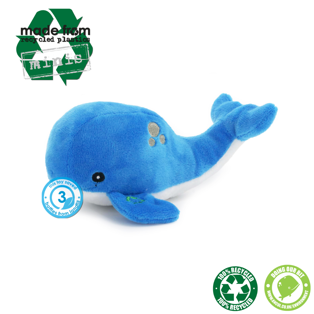 Made From Mini Shark, Octopus and Oshi