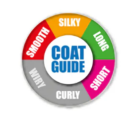 Ergo Universal Slicker Medium Bursti