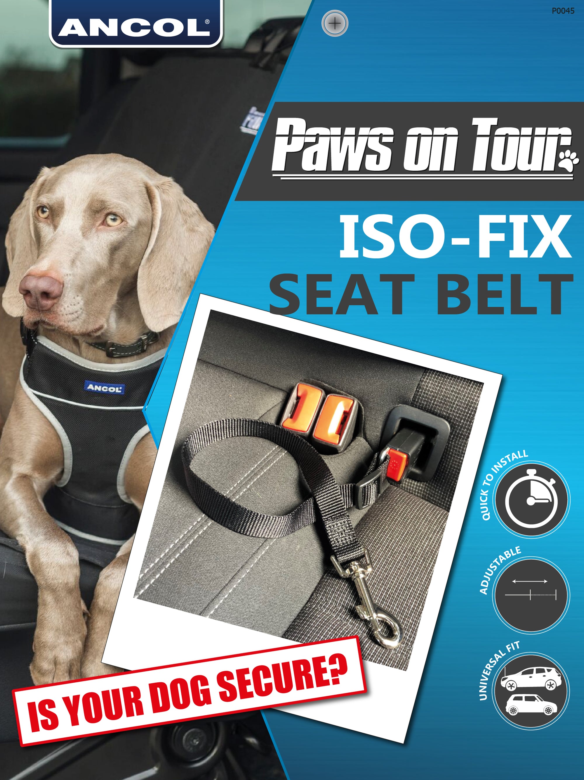 ISOfix Seatbelt