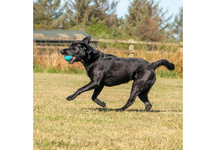 Playtime Chase Tough Rubber Ball