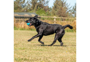 Playtime Chase Tough Rubber Ball