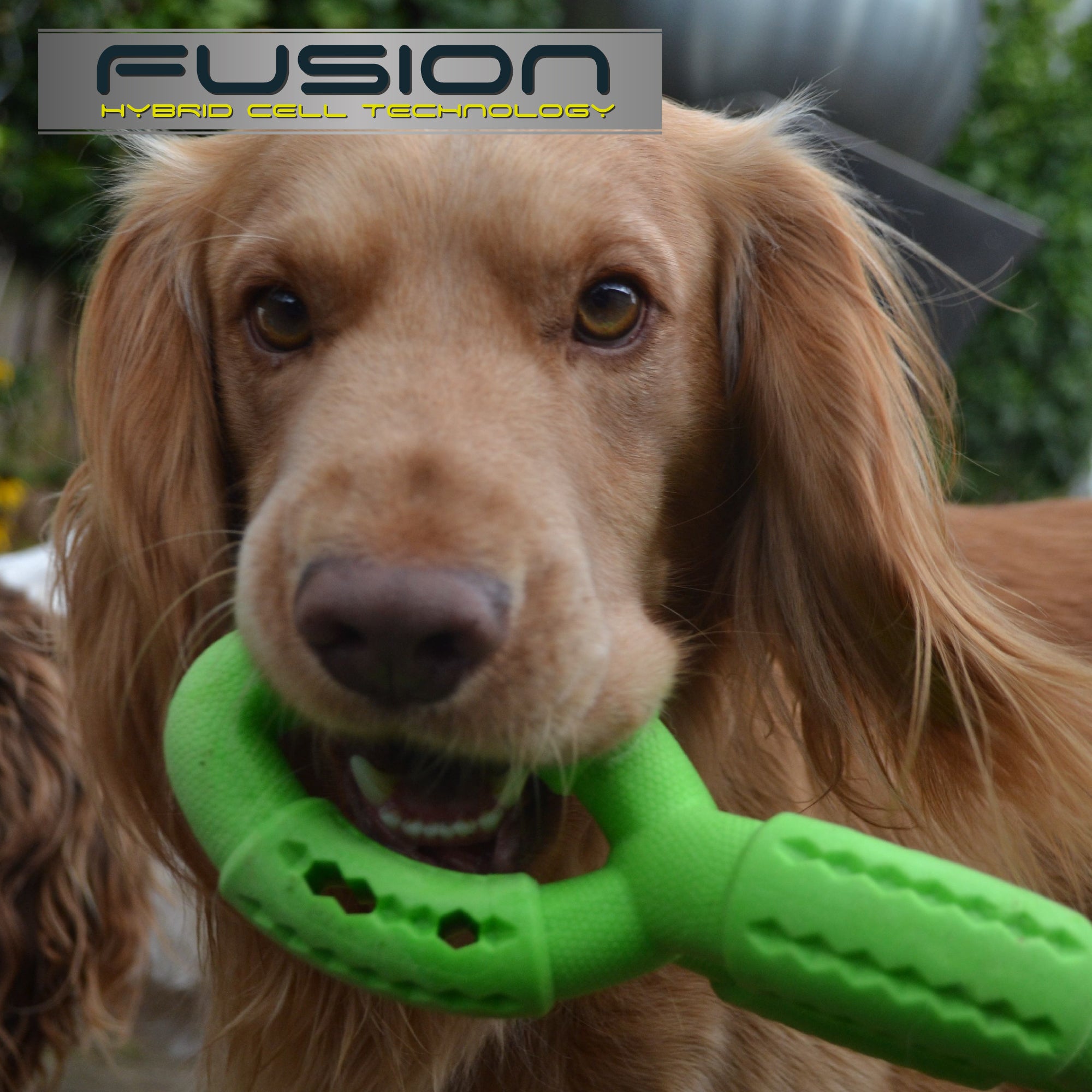 Fusion Hybrid Dog Toys