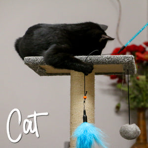 Feather Bell Cat Dangler
