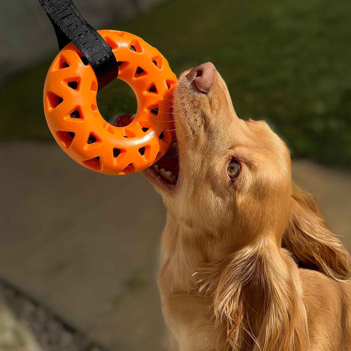 Extreme Floating Donut with Strap