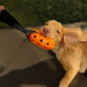 Extreme Floating Donut with Strap