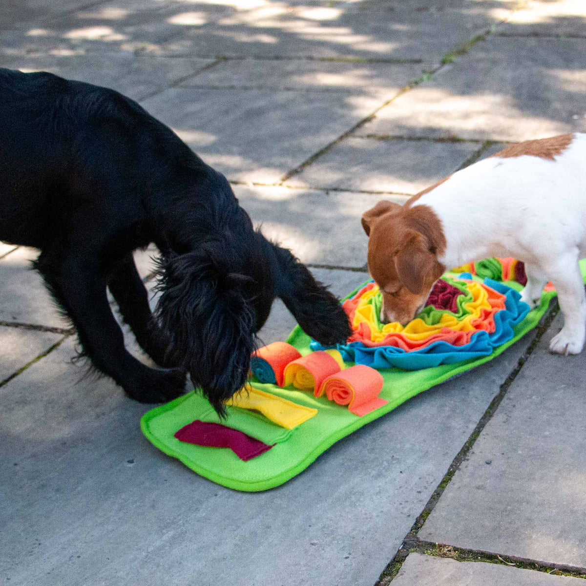 Orva Þefmotta Strip