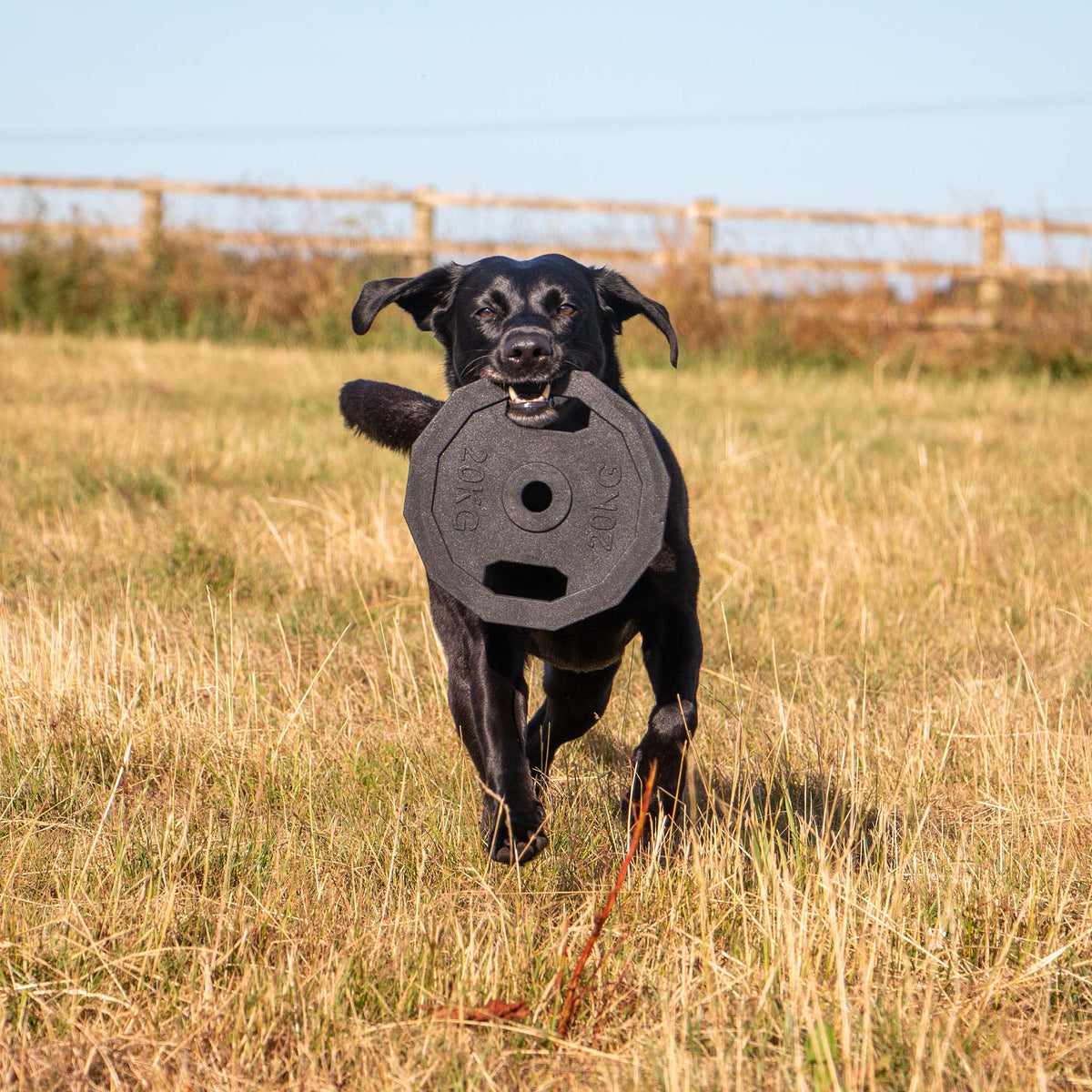 Lóðaplata Leikfang
