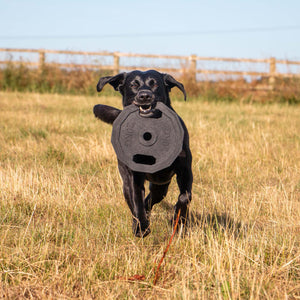 Lóðaplata Leikfang