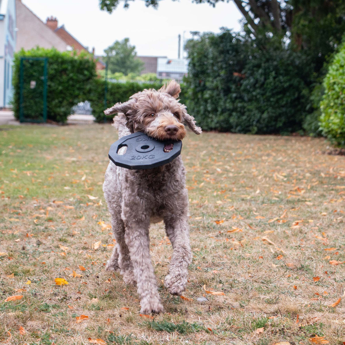 Lóðaplata Leikfang