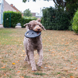 Lóðaplata Leikfang