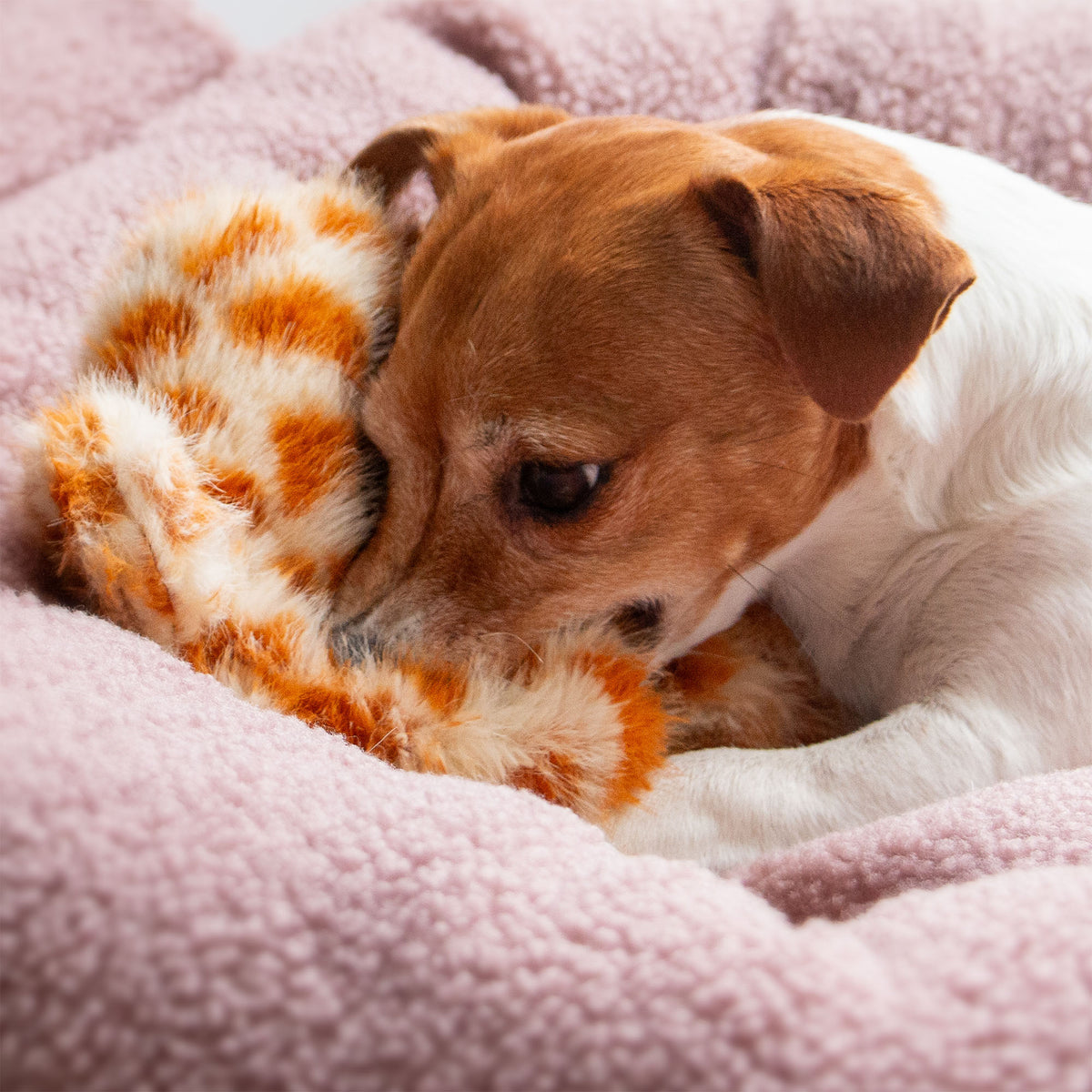 Gíraffa Bangsi Floppet