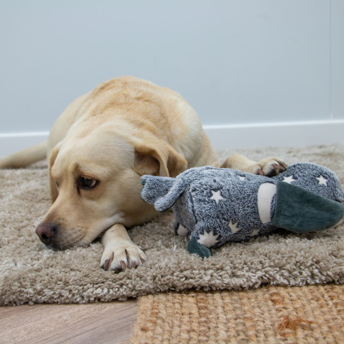 Cuddle Glow in the Dark Owl