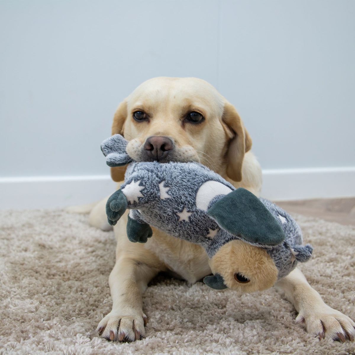 Cuddle Glow in the Dark Owl