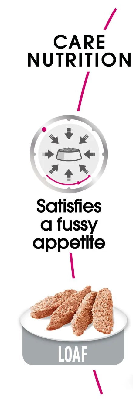 Exigent dog - blautfóður