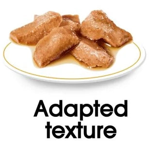 Maine Coon - blautfóður