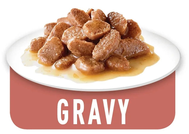 Sterilised - blautfóður