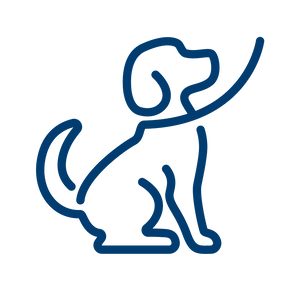 Einkaleiga