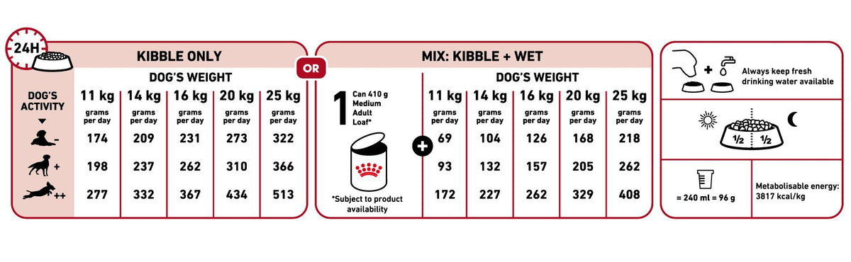 Medium Adult + FRÍ GJÖF