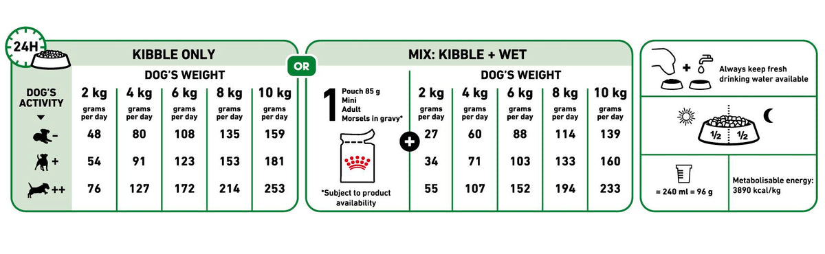 Mini Adult + FRÍ GJÖF