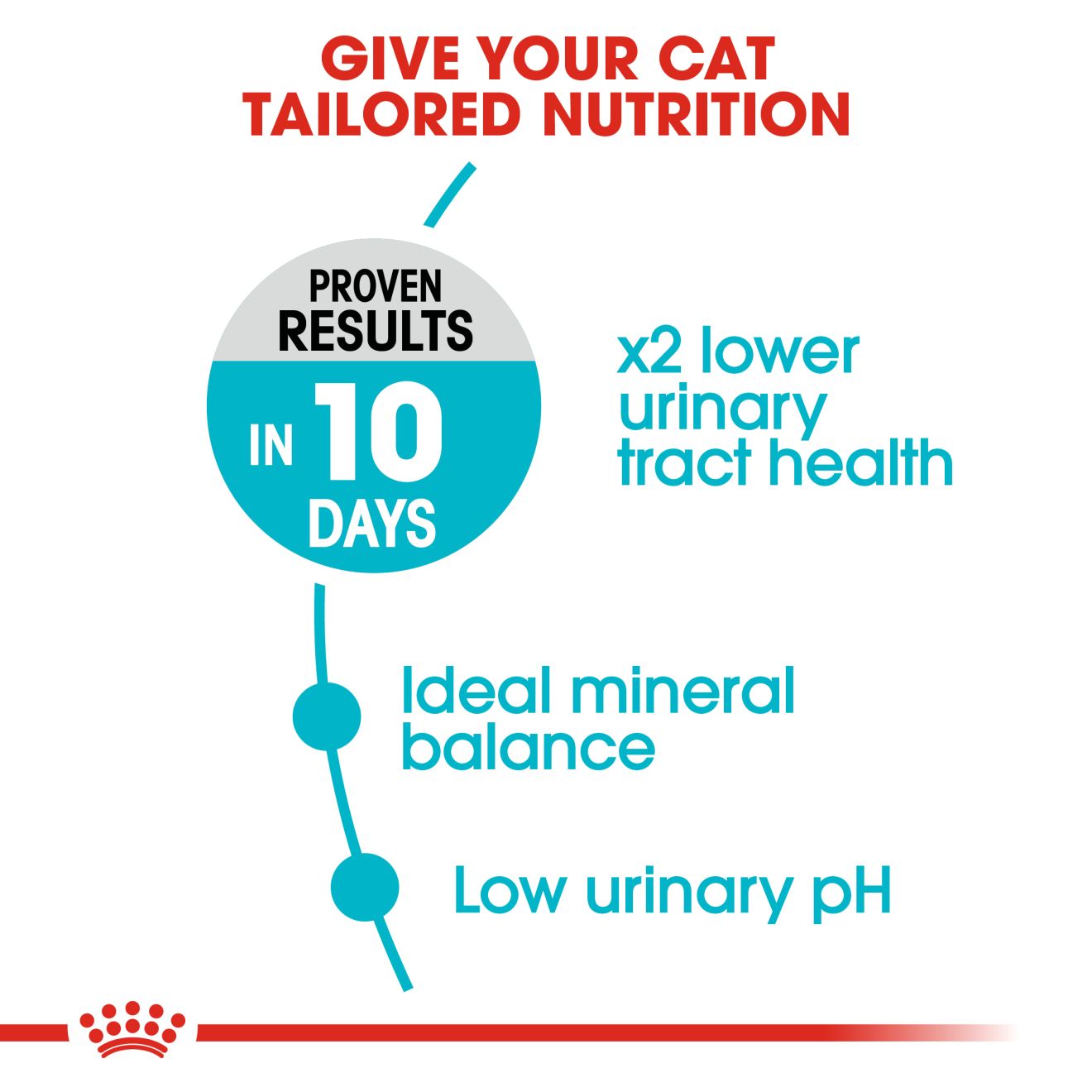Cat Urinary Care