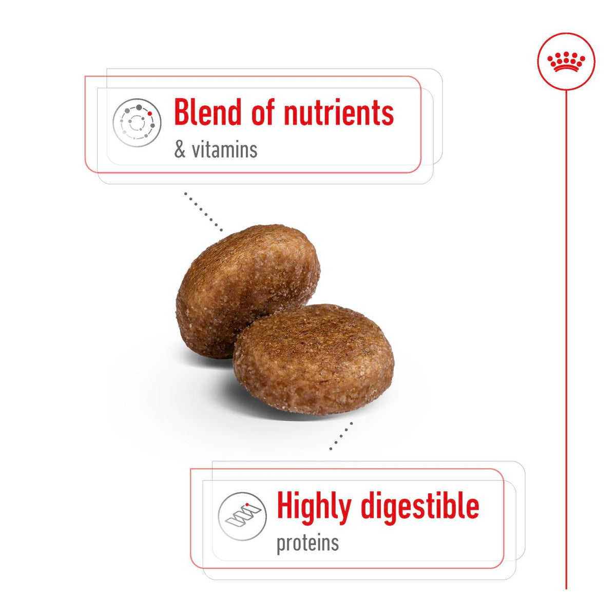 Maxi Adult + FRÍ GJÖF