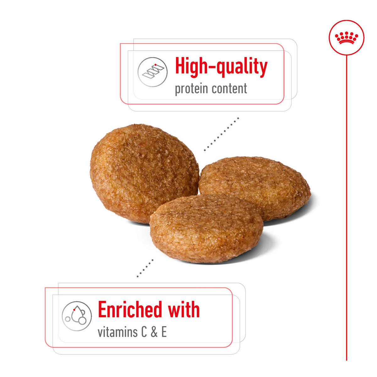 Medium Adult + FRÍ GJÖF