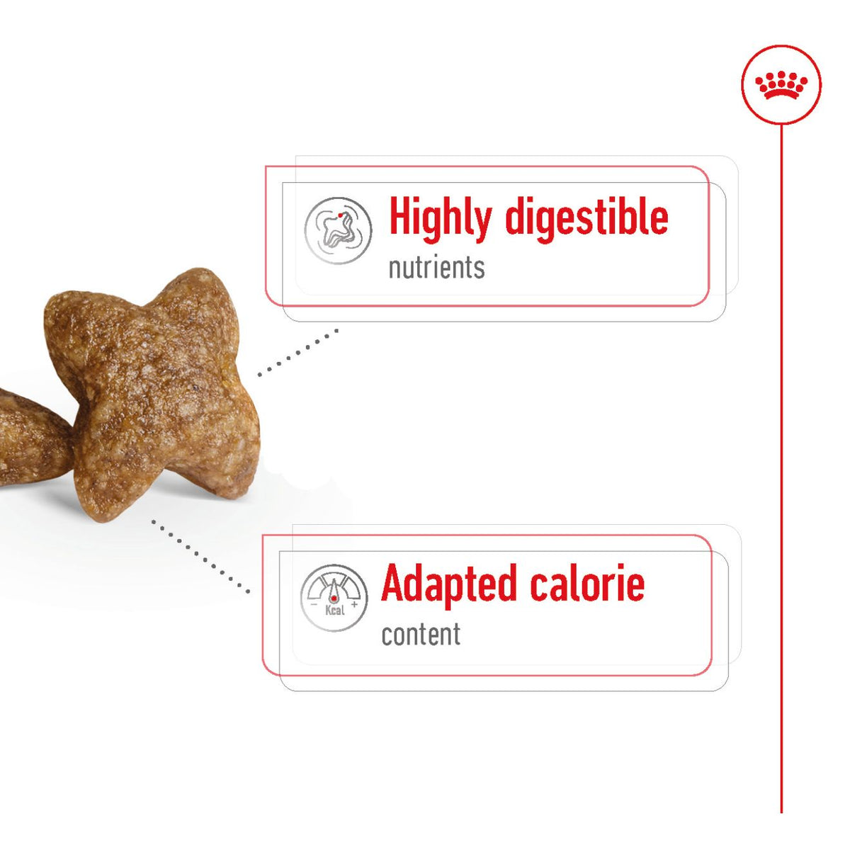 Mini Adult + FRÍ GJÖF