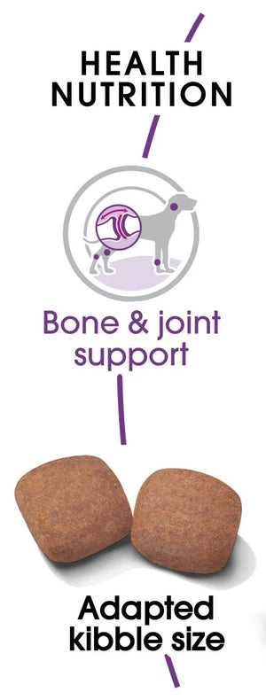 Giant Adult + FRÍ GJÖF